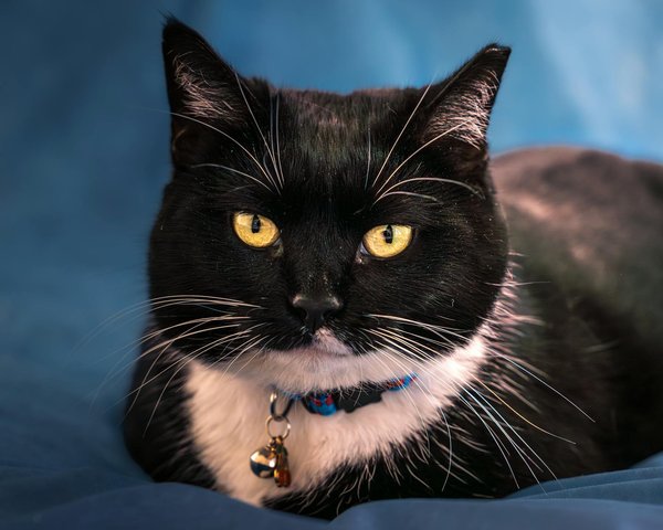 What are the future prospects for UK tech exports?